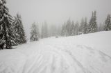 201402130822-AJ001590.jpg
